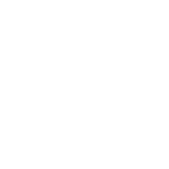 Mobile App Customization