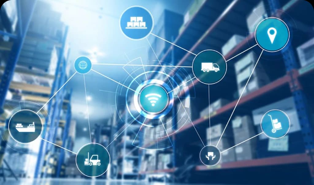 Supply Chain Development