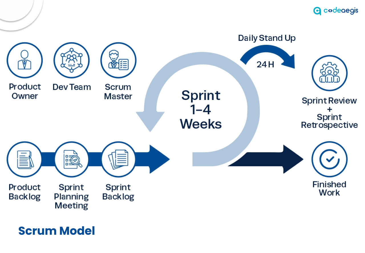 How does scrum model works