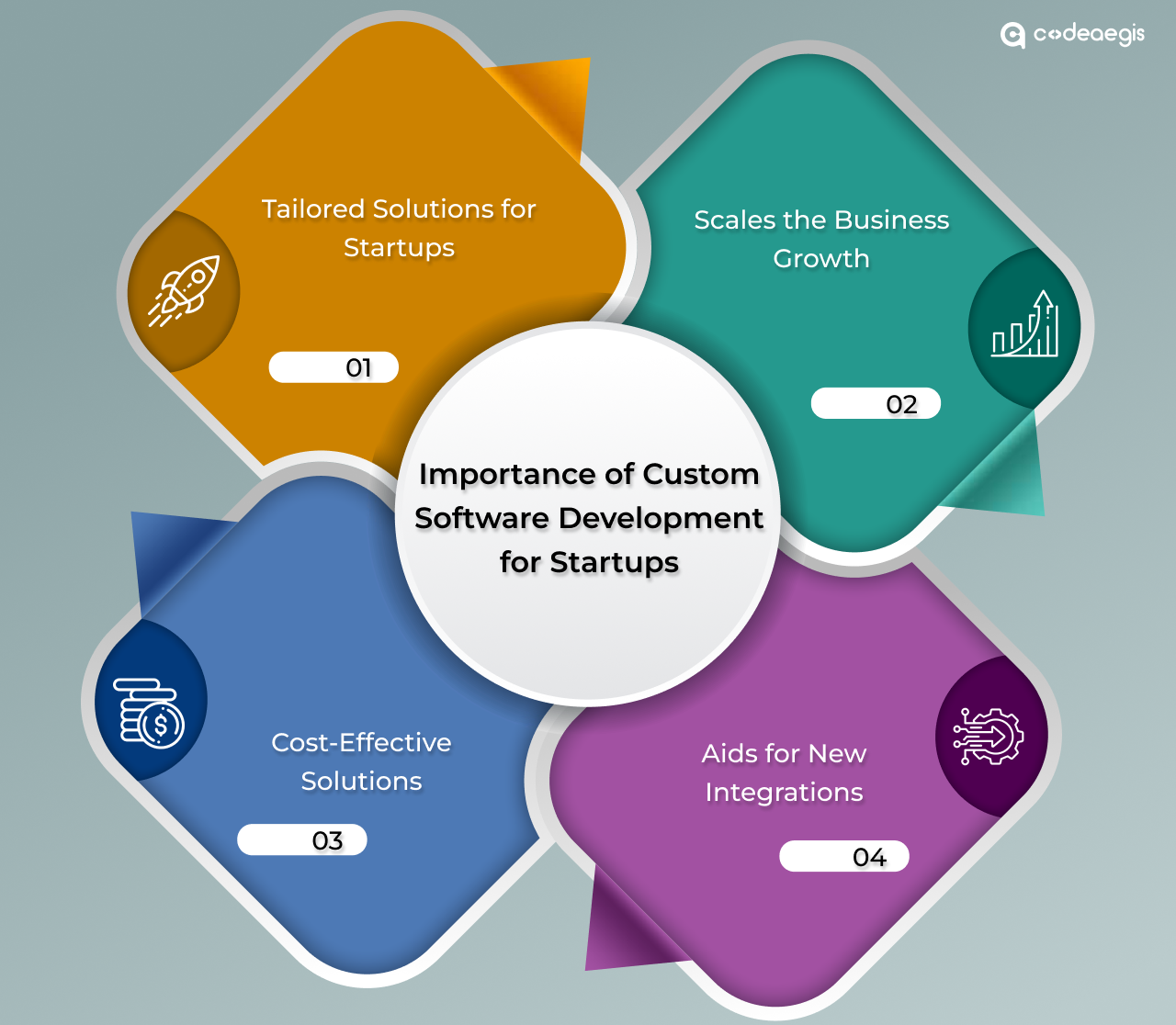 Importance of Custom Software Development for Startups